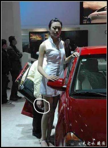 �鿴���ྫ�ʈDƬ