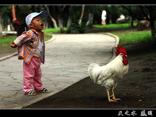 �鿴���ྫ�ʈDƬ