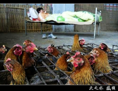 �鿴���ྫ�ʈDƬ