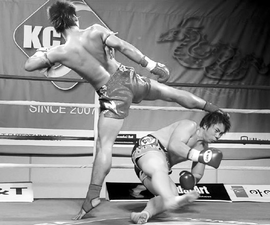 ̩ȭ���ԃ����B��(qi��ng)���Q