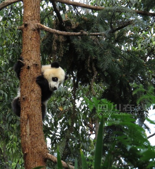 ����؈�о����ı̷�{����60��ֻ����؈��w��(w��n)��