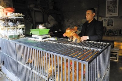 �Ͼ�����H7N9���߾������|���u ���β�����e��