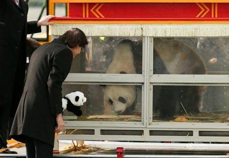 �Ї�����؈�ֱ����r��Ԫ�׼��Y�� �����H�ԽәC