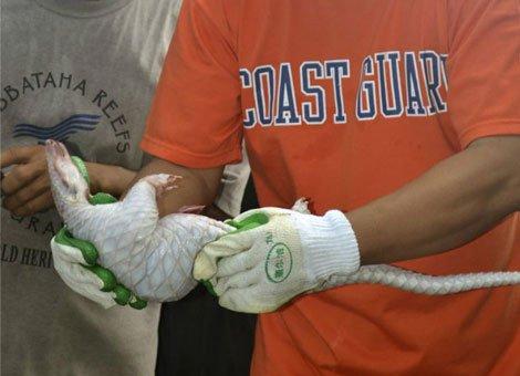 �����e���С��֝O���Ї��O�� �@ʾ�Ϻ���Ӳ����