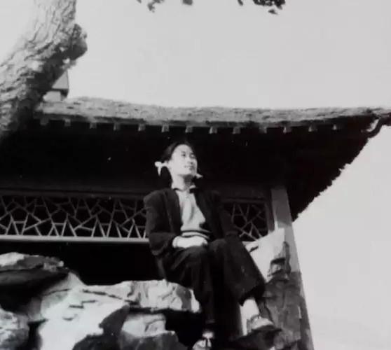 ���L�Ї��Z������������ �װl(f��)����Ƭ(�D)