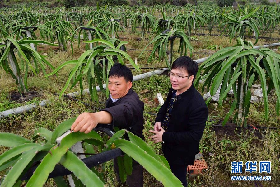 �����Aȫý�^�l���D�Ļ���(d��ng)����2���˹����𴺳���������(x��)��ƽͬ־����ĵ��h�����P(gu��n)�ďV���l(f��)չ�o(j��)��(sh��)