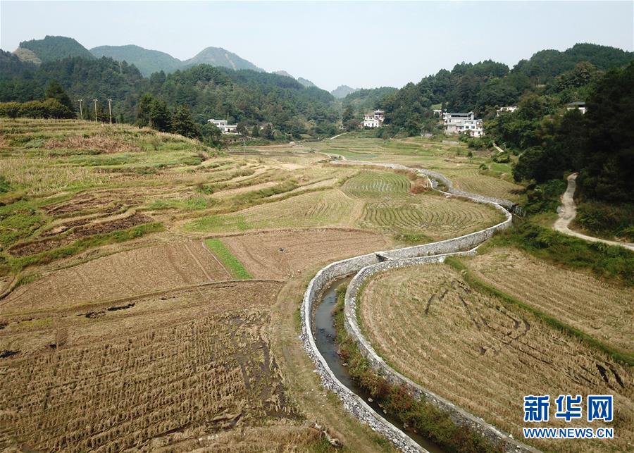 �����Aȫý�^�l���D�Ļ���(d��ng)����8���˹����𴺳���������(x��)��ƽͬ־����ĵ��h�����P(gu��n)�ďV���l(f��)չ�o(j��)��(sh��)