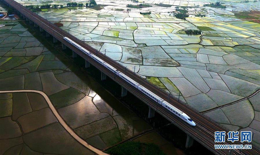 �����Aȫý�^�l���D�Ļ���(d��ng)����12���˹����𴺳���������(x��)��ƽͬ־����ĵ��h�����P(gu��n)�ďV���l(f��)չ�o(j��)��(sh��)