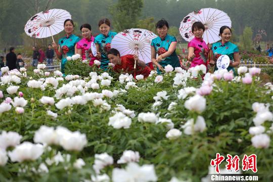 �����_(d��)����ĵ���@��(n��i)�p�������� �z